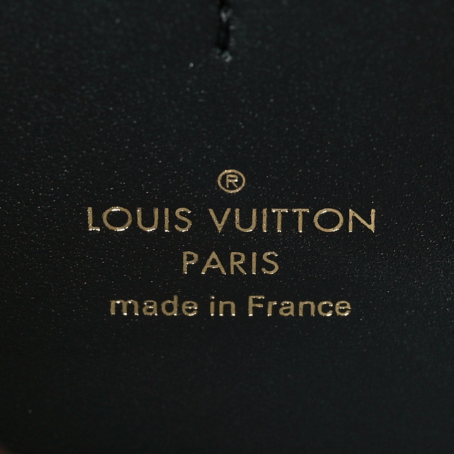 Reverse Monogram Dauphine Bumbag