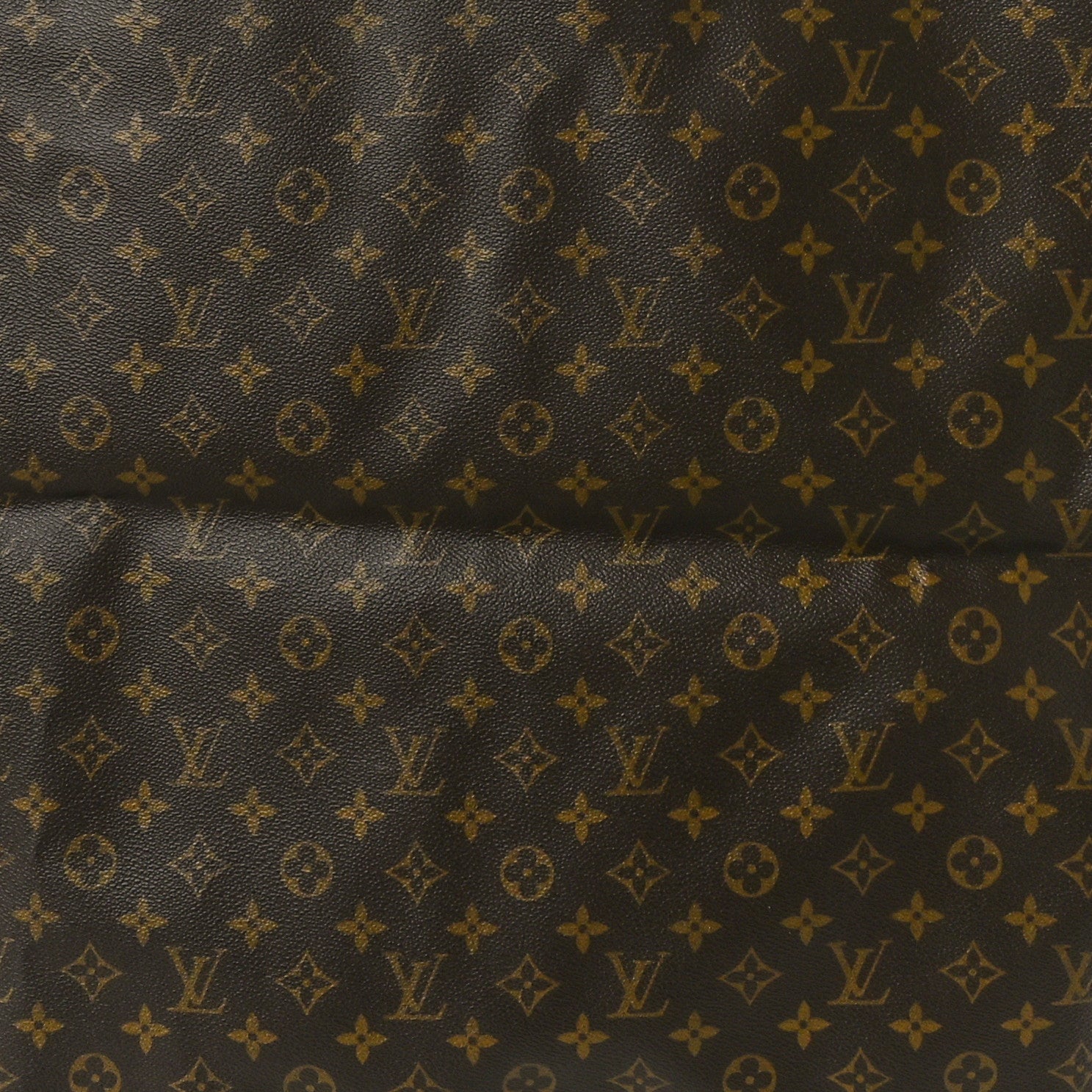 Louis Vuitton Monogram Garment Cover 2 Hangers 7 of 12