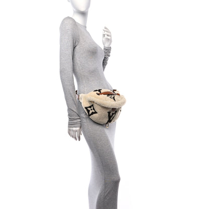 Louis Vuitton Monogram Teddy Bumbag 2 of 10