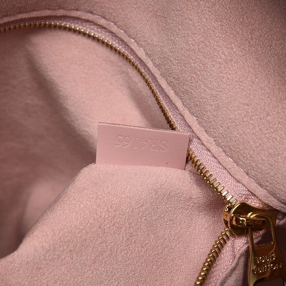 Louis Vuitton Damier Ebene Caissa Hobo Rose Ballerine 7 of 8