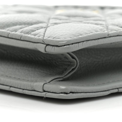 Christian Dior Calfskin Cannage Caro Zipped Pouch With Chain Grey 11 of 12