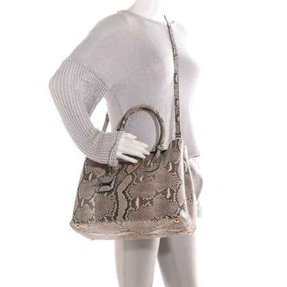 Prada Python Large Double Bag Roccia 2 of 10