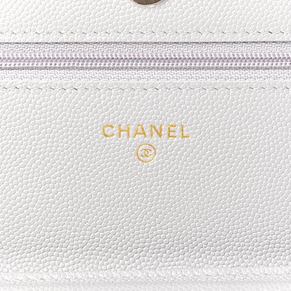 Chanel Caviar Quilted Wallet On Chain WOC Grey 6 of 10