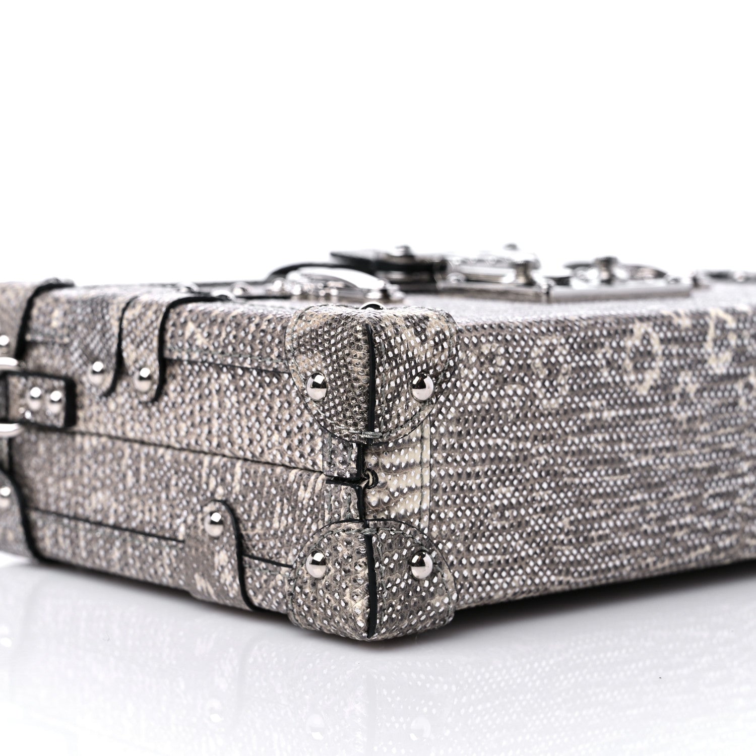 Louis Vuitton Lizard Petite Malle Silver 7 of 8