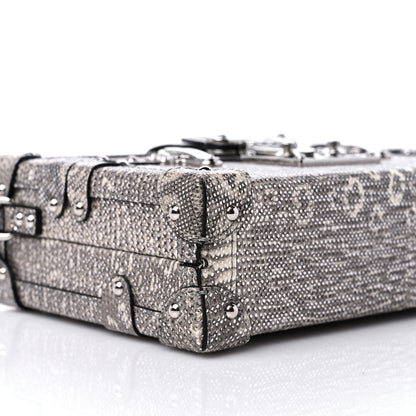 Louis Vuitton Lizard Petite Malle Silver 7 of 8