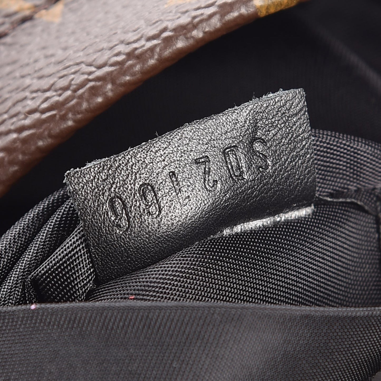 Monogram Palm Springs Backpack Mini