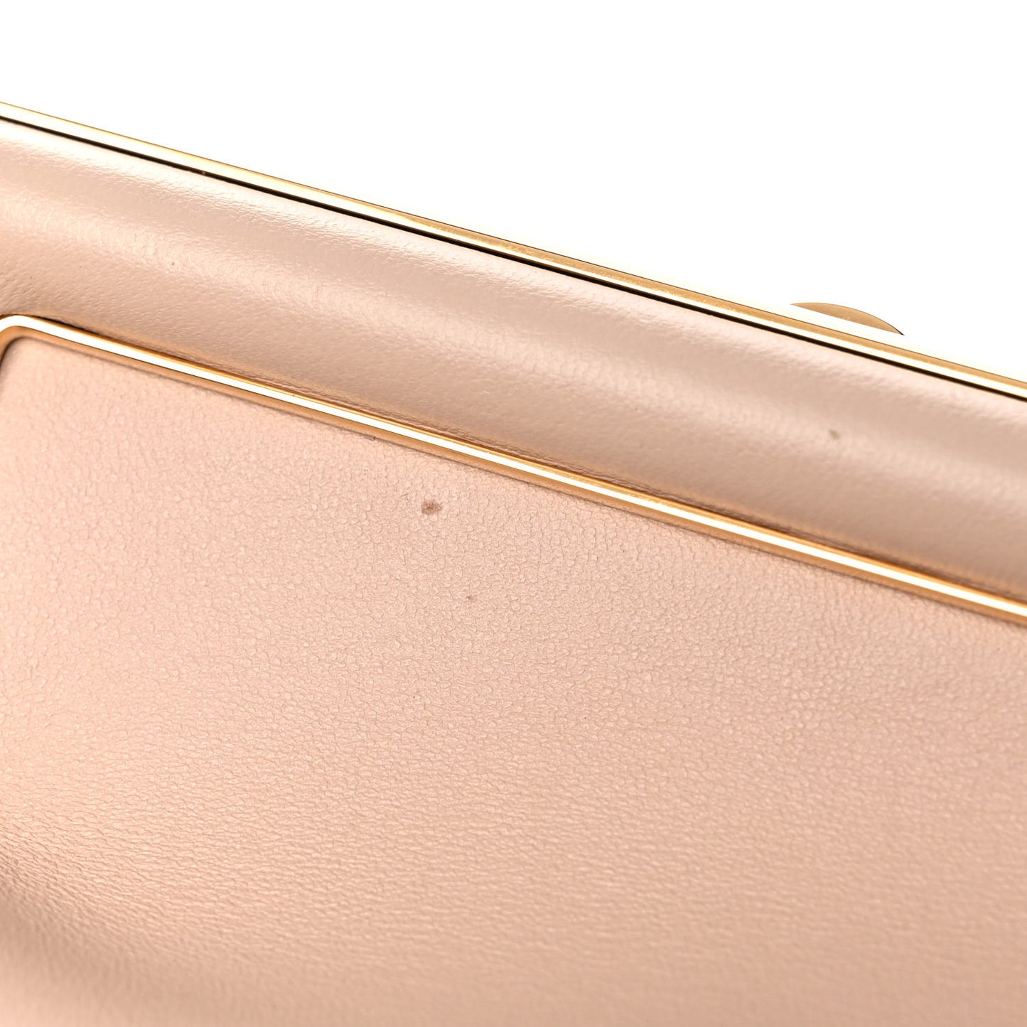 Shiny Nappa Small Fendi First Poudre
