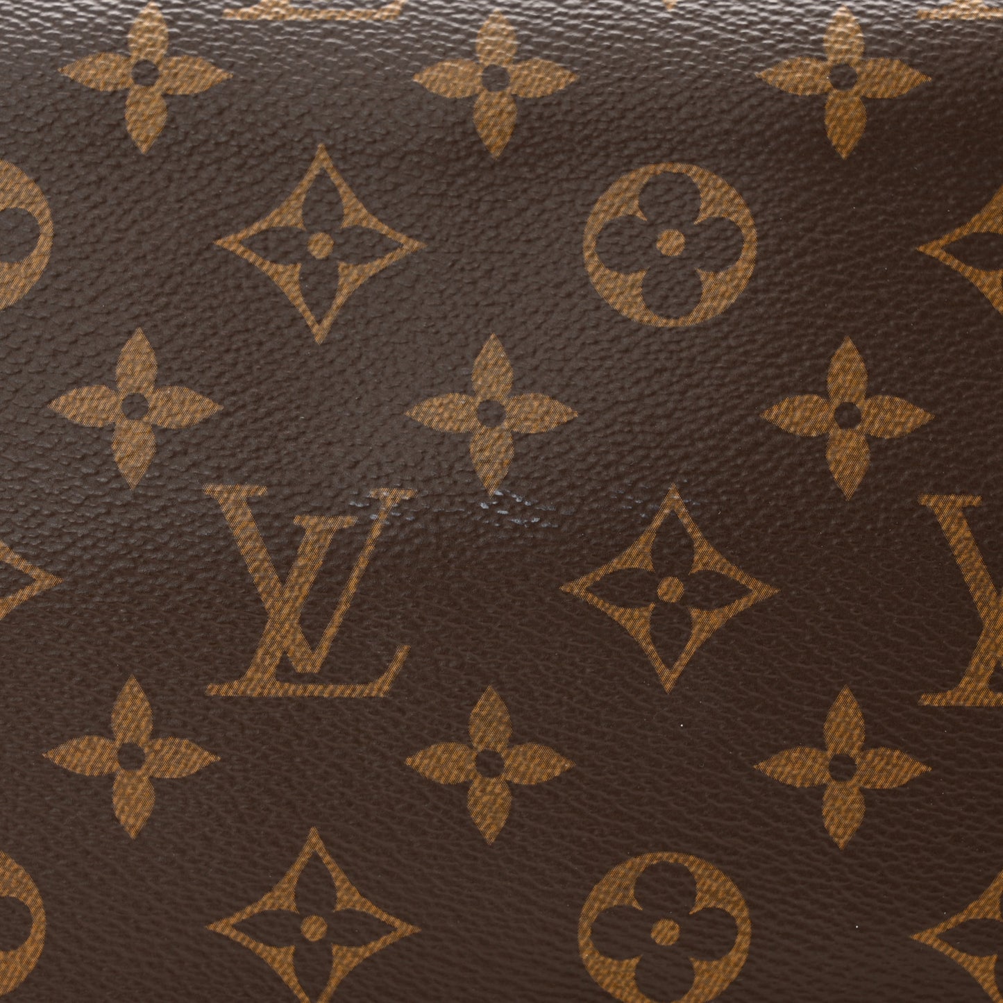 Monogram CarryAll PM