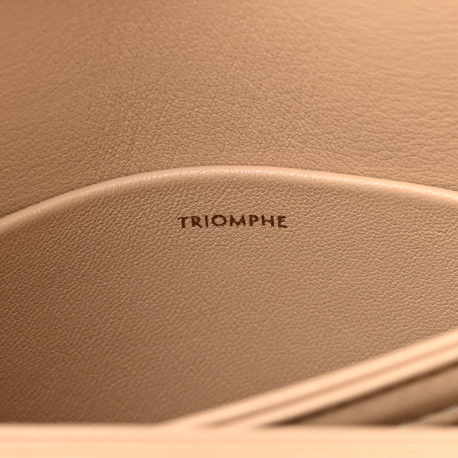 Celine Shiny Calfskin Teen Triomphe Nude 7 of 23
