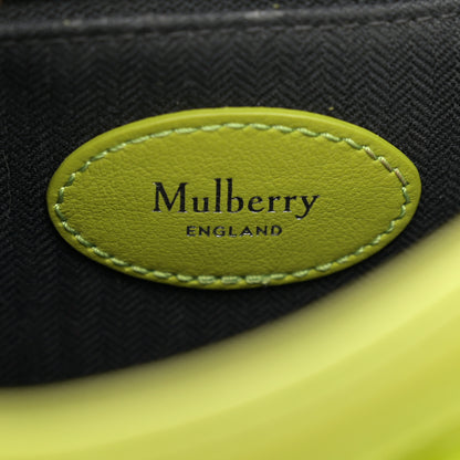 Mulberry Micro Classic Grain Mini Alexa Acid Green 6 of 9