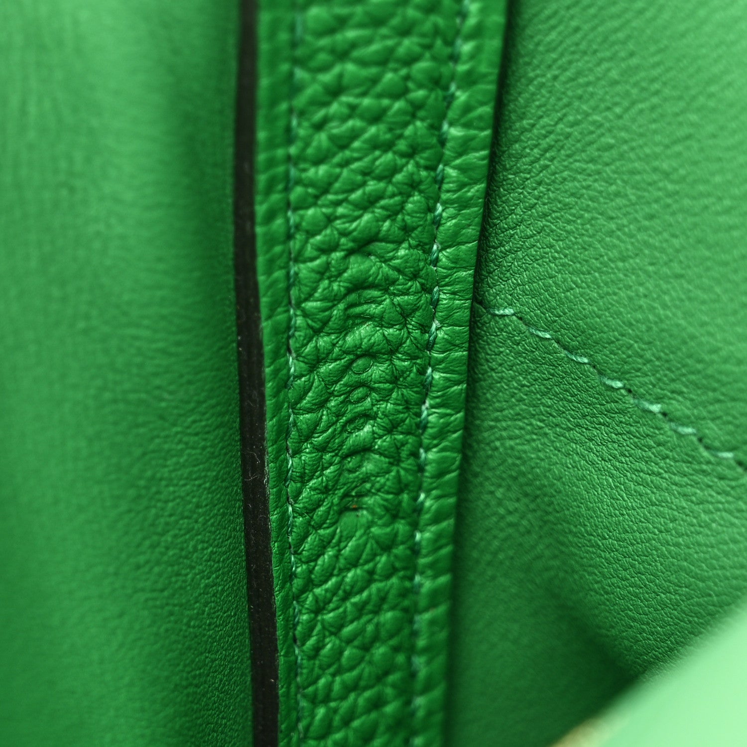 Hermes Togo Swift 24/24 29 Cactus 7 of 10