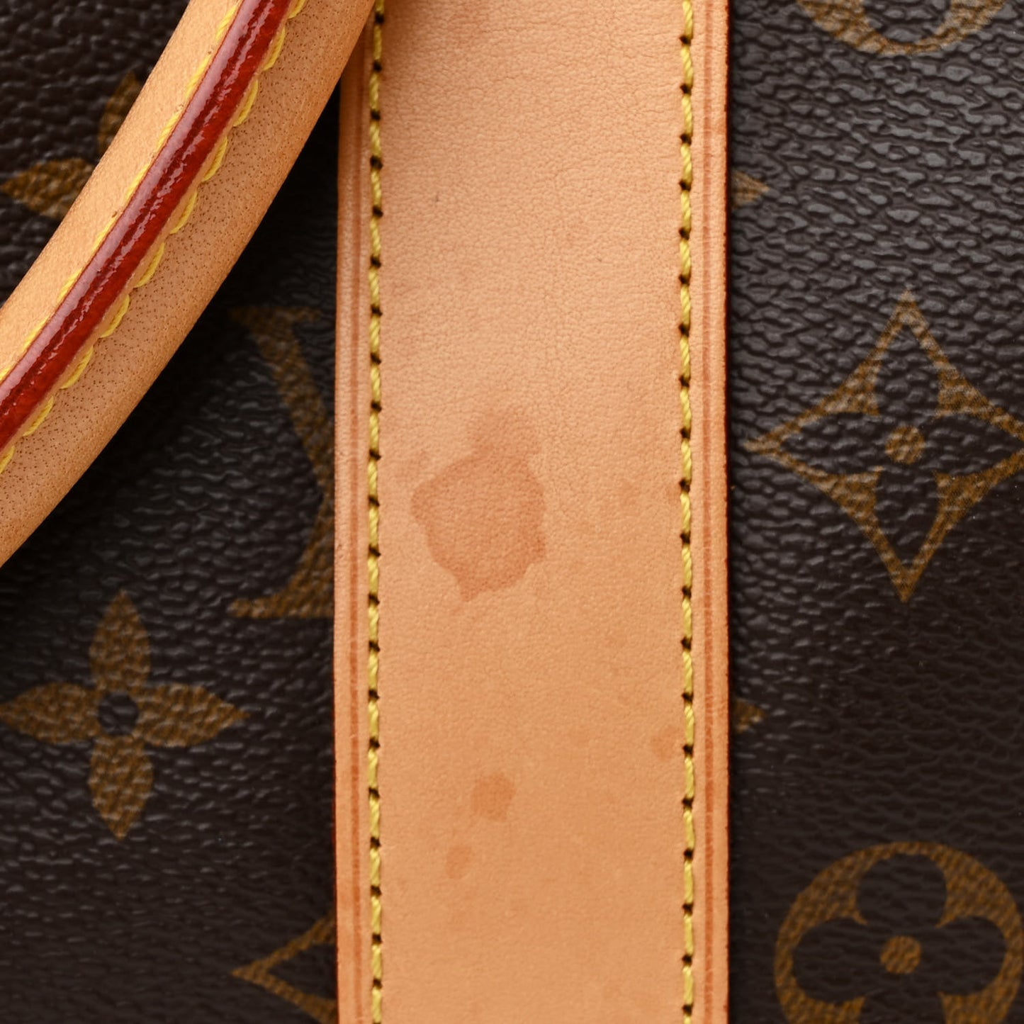 Monogram Carryall