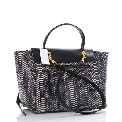 Celine Watersnake Mini Belt Bag White Black 4 of 8