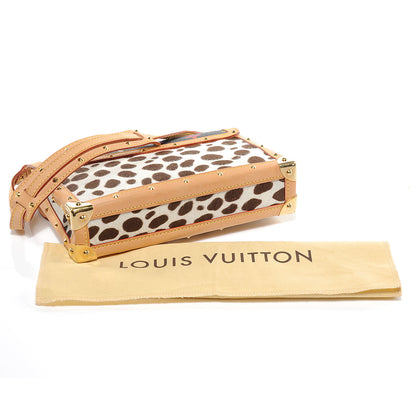 Louis Vuitton Monogram Multicolor Dalmatian Pochette 5 of 8