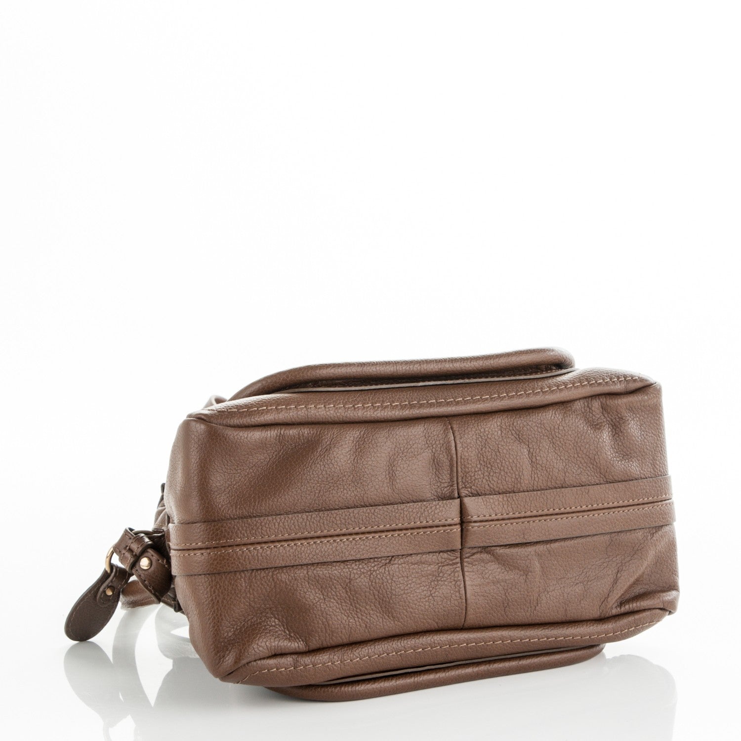 Chloe Calfskin Small Paraty Bark 4 of 7
