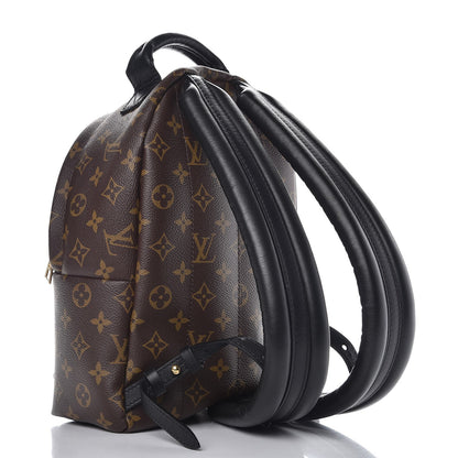 Louis Vuitton Monogram Palm Springs Backpack PM 3 of 8