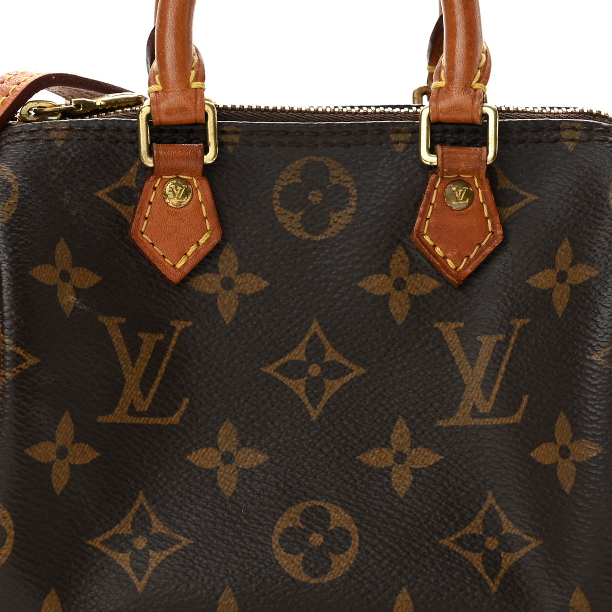 Monogram Nano Speedy