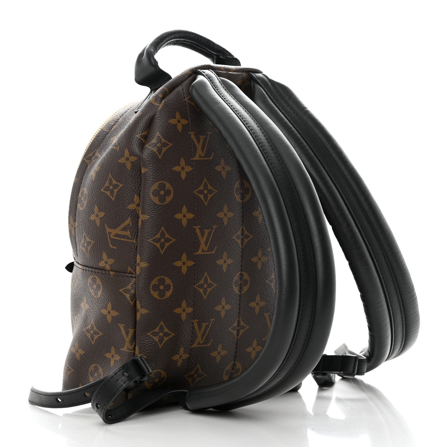 Louis Vuitton Monogram Palm Springs Backpack PM 3 of 14