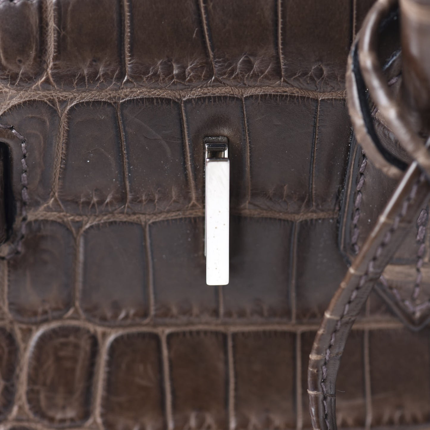 Matte Niloticus Crocodile Birkin 30 Gris Elephant