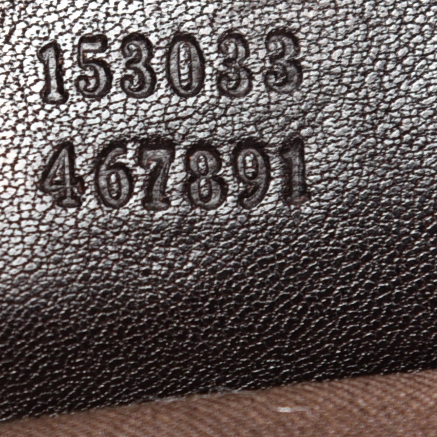 Monogram Large Positano Tote Brown