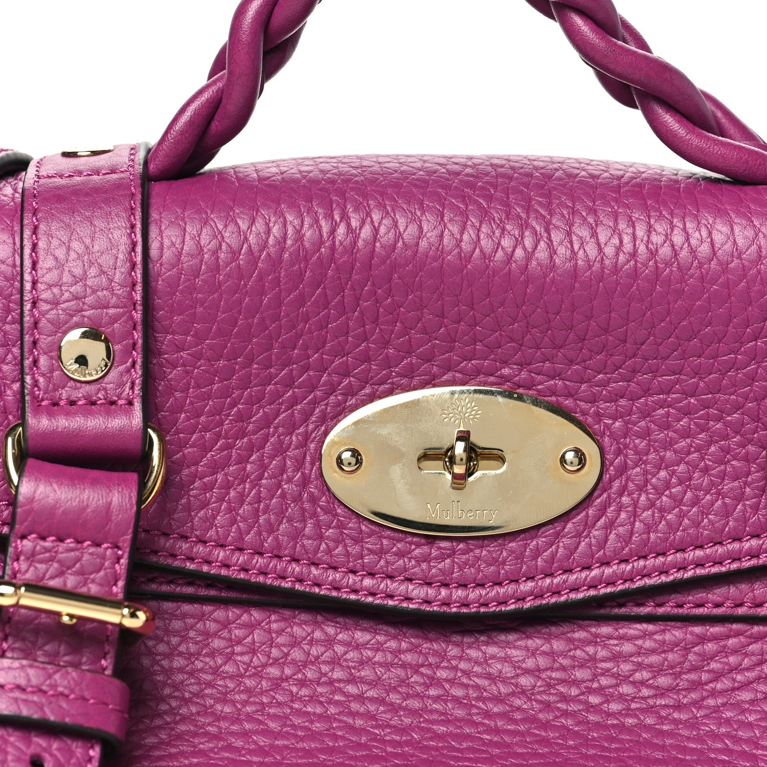 Mulberry Heavy Grain Mini Alexa Orchid Bloom 7 of 9