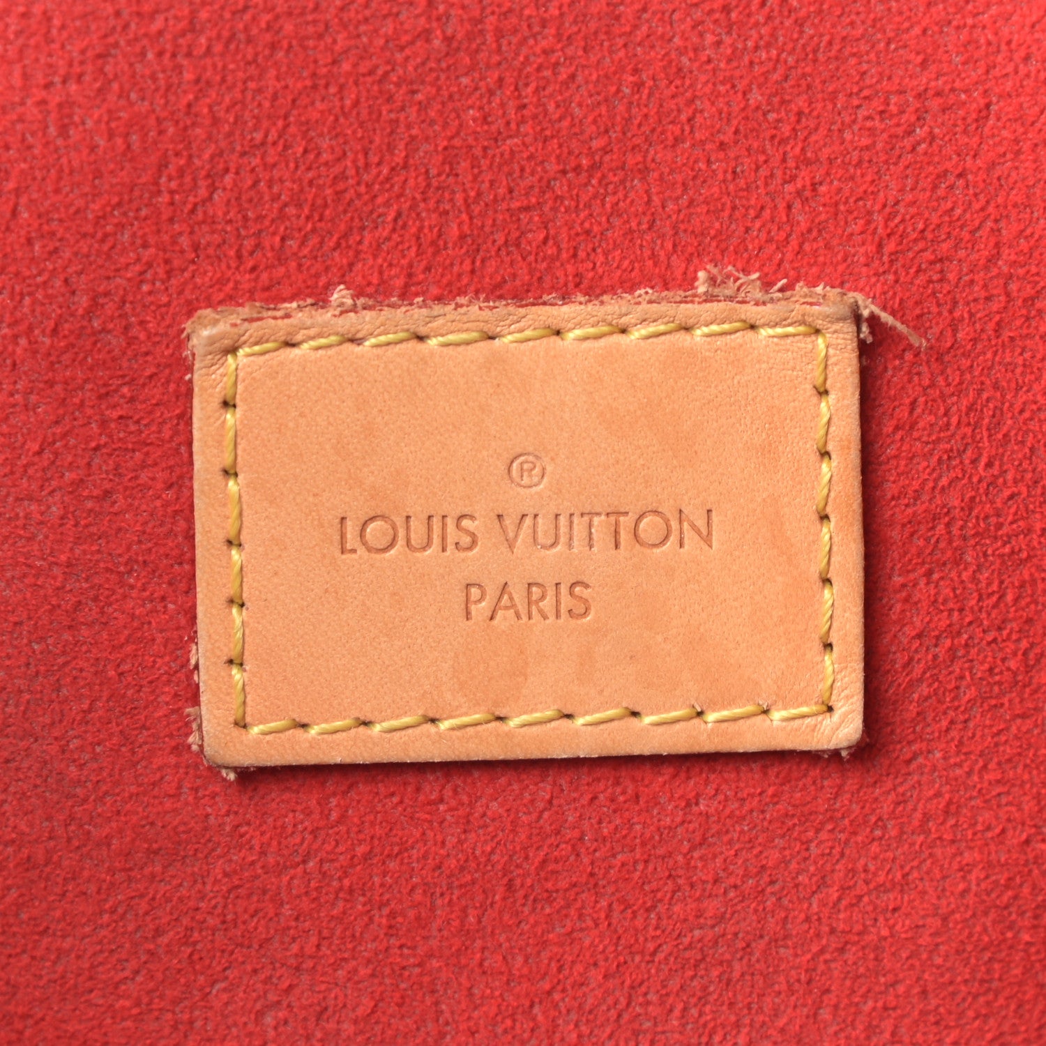 Louis Vuitton Monogram Gaia Cherry 6 of 14