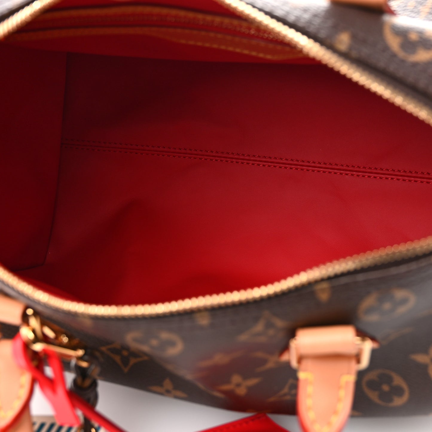 Monogram Speedy Soft Crafty 30