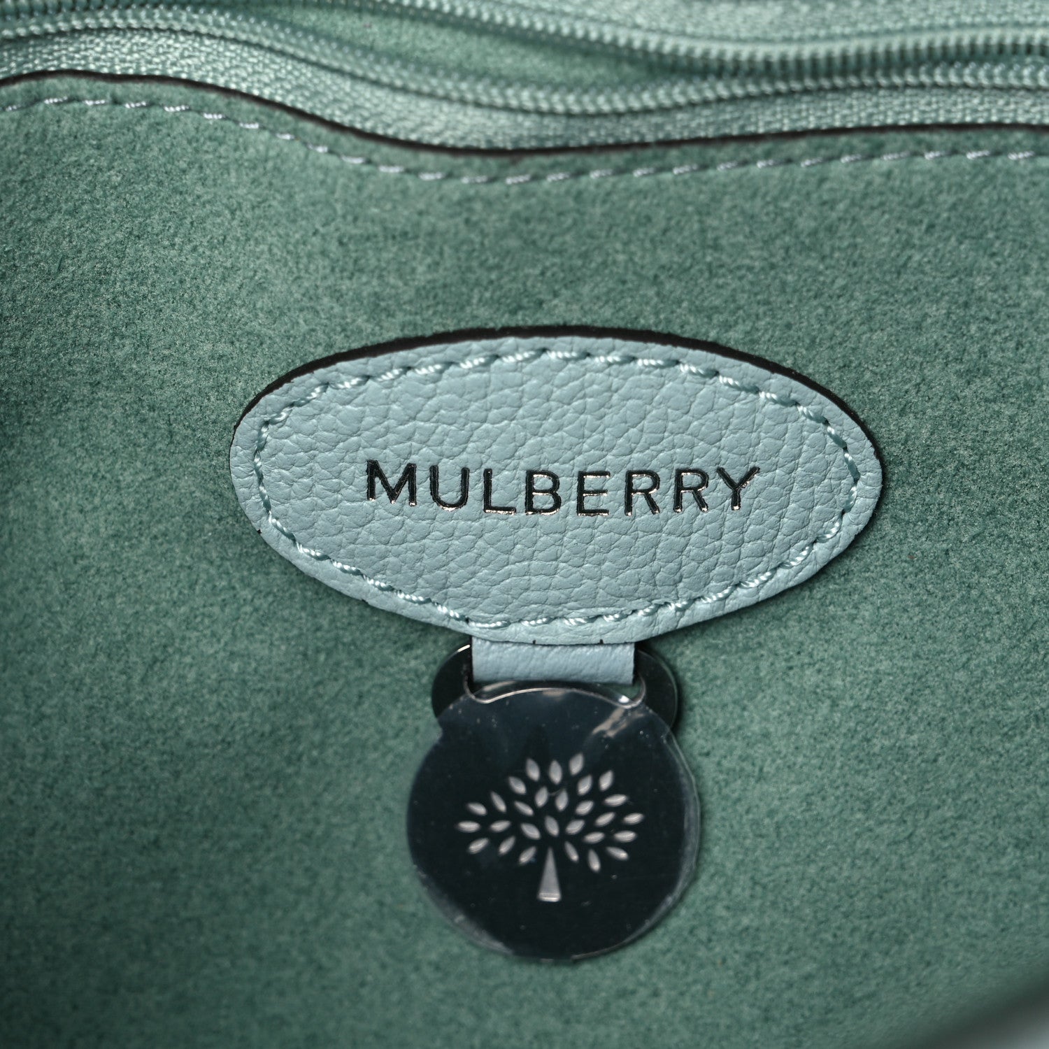 Mulberry Small Classic Grain Medium Lily Acrylic Green 6 of 11