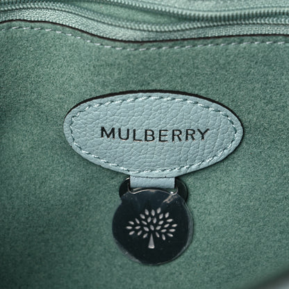 Mulberry Small Classic Grain Medium Lily Acrylic Green 6 of 11