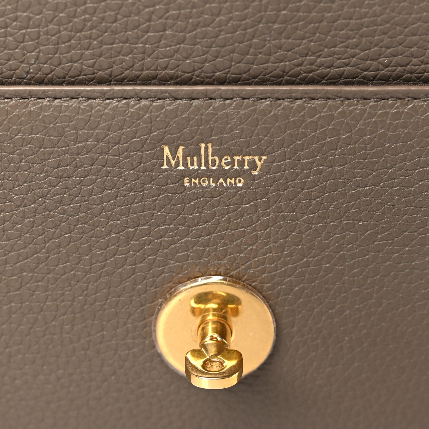 Mulberry Small Classic Grain Calfskin Small Darley Clay 6 of 8