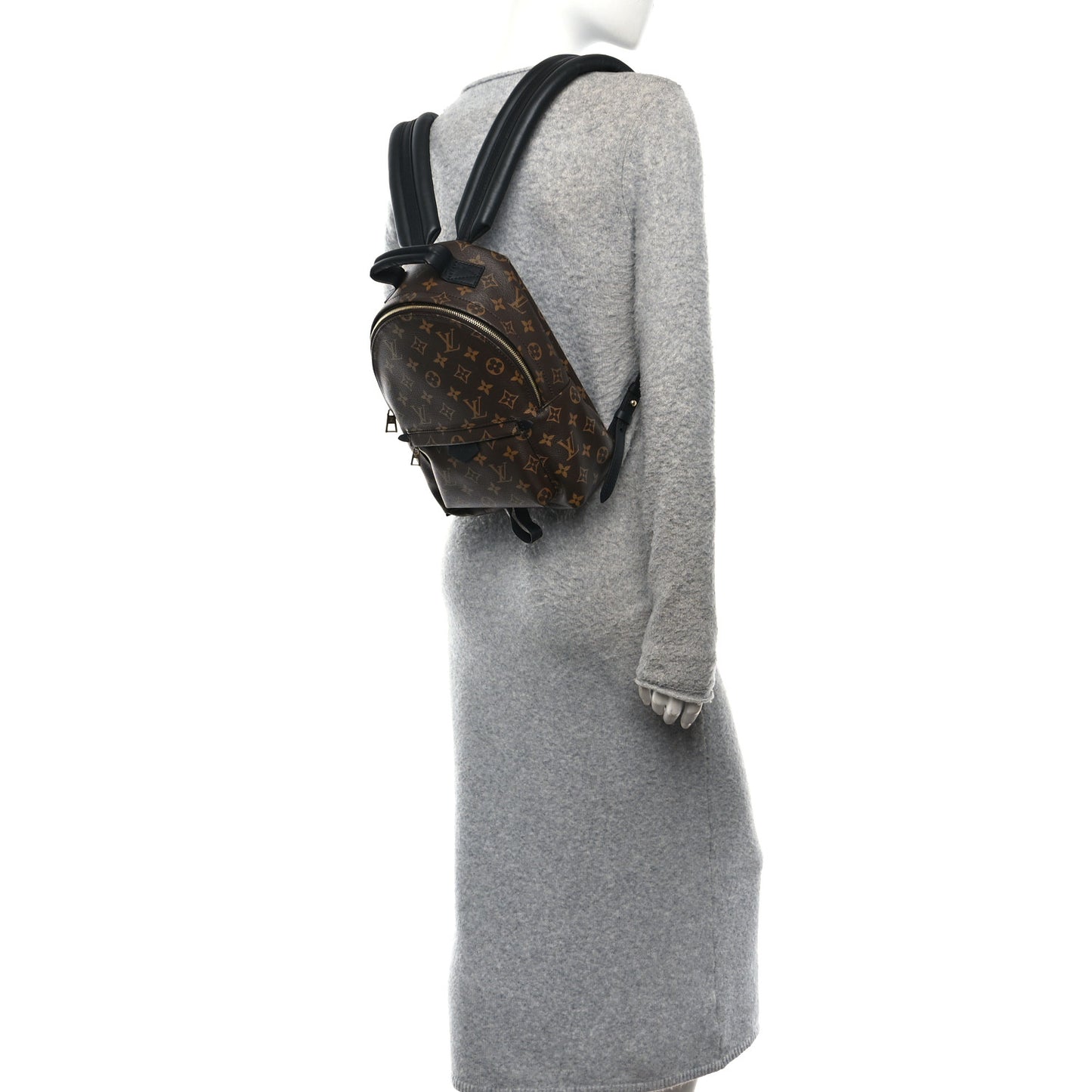 Monogram Palm Springs Backpack PM