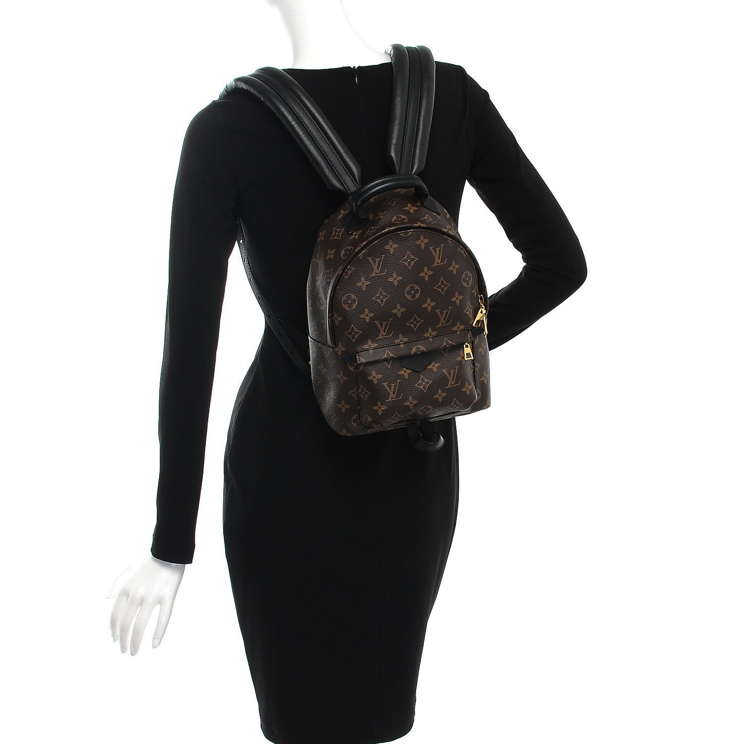 Louis Vuitton Monogram Palm Springs Backpack PM 2 of 7