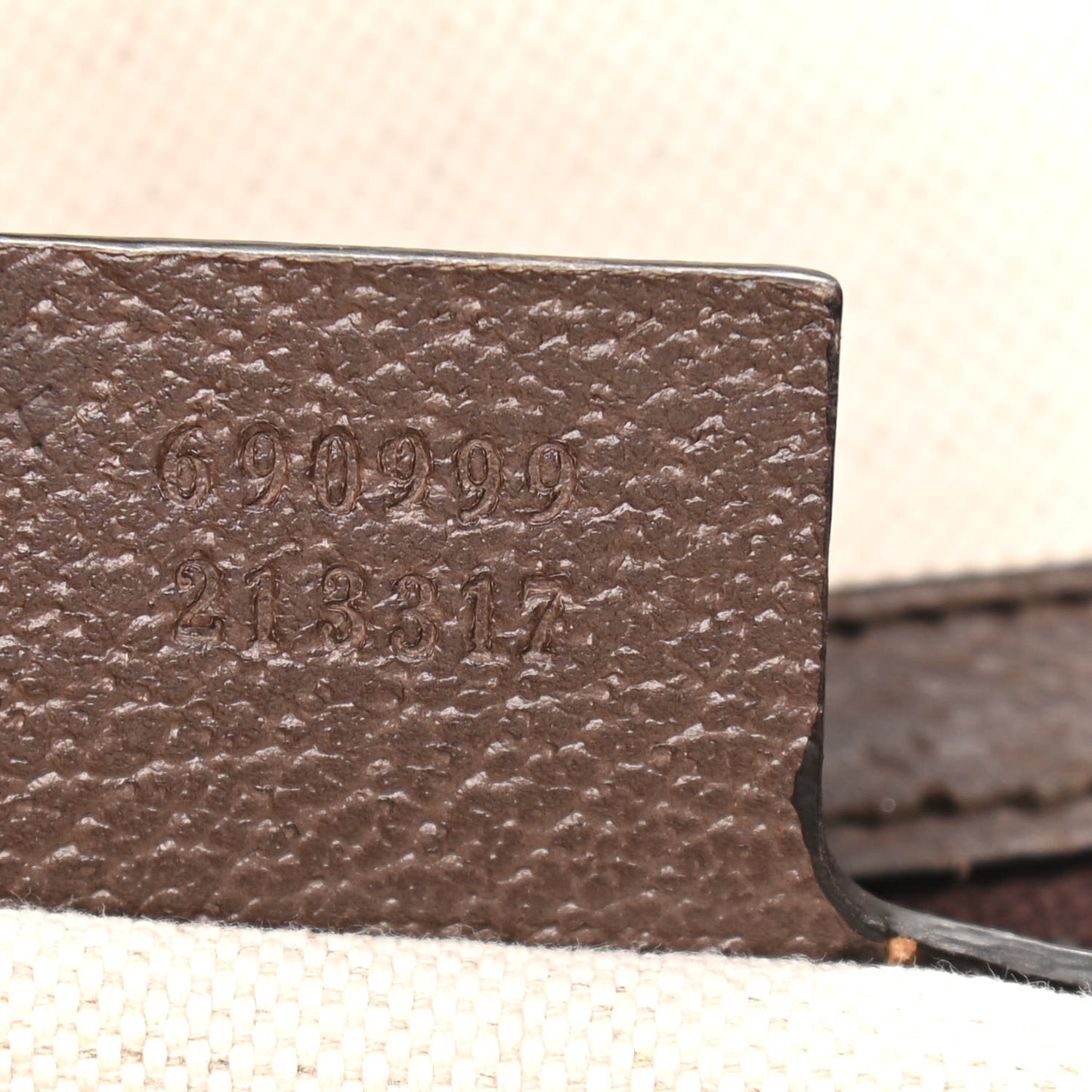 GG Supreme Monogram Web Skateboard Backpack Brown