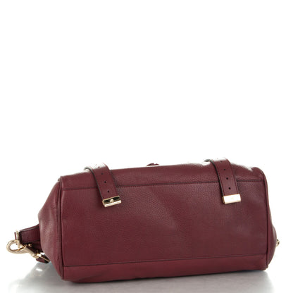 Mulberry Polished Buffalo Medium Alexa Tassel Satchel Conker 4 of 10