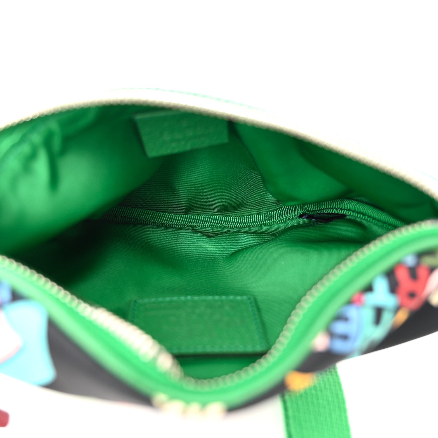 Gucci X THE NORTH FACE Econyl Nylon Textured Dollar Calfskin Belt Bag Black Turquoise New Shamarock New Cherry Red 5 of 11