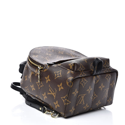 Louis Vuitton Monogram Palm Springs Backpack Mini 4 of 11