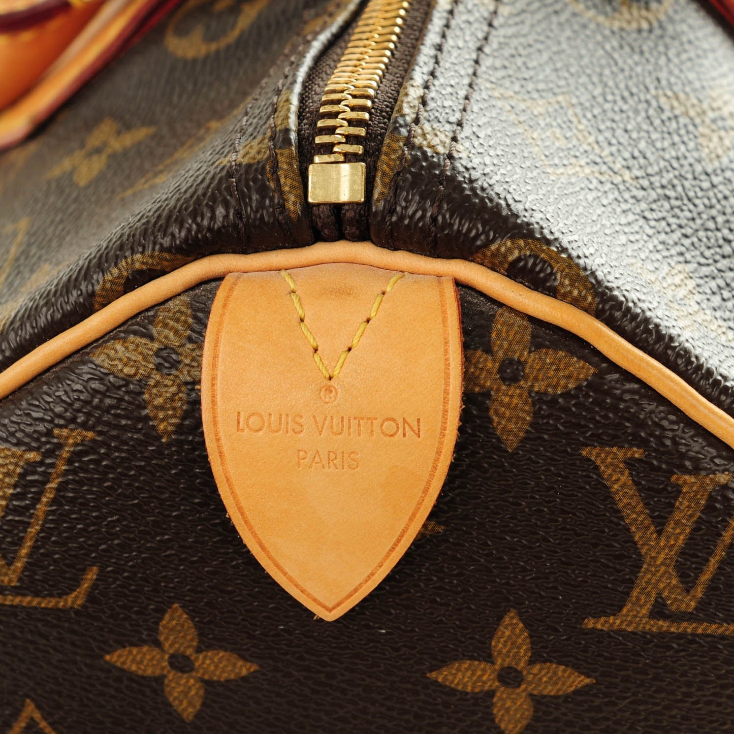 Monogram Speedy 30