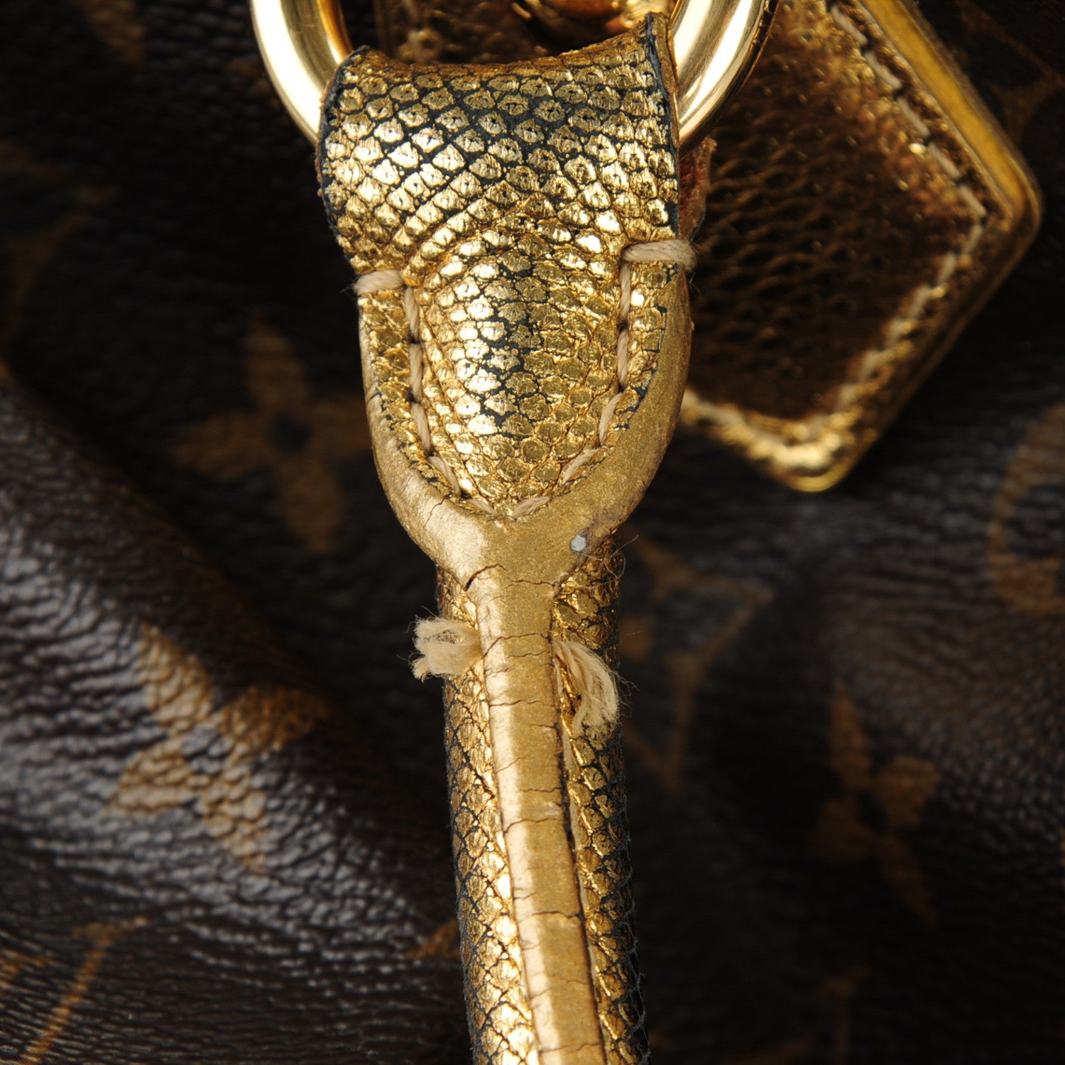 Louis Vuitton Monogram Leopard Stephen Bag 17 of 17