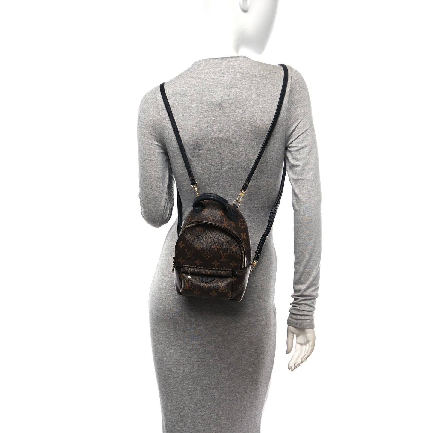 Monogram Palm Springs Backpack Mini