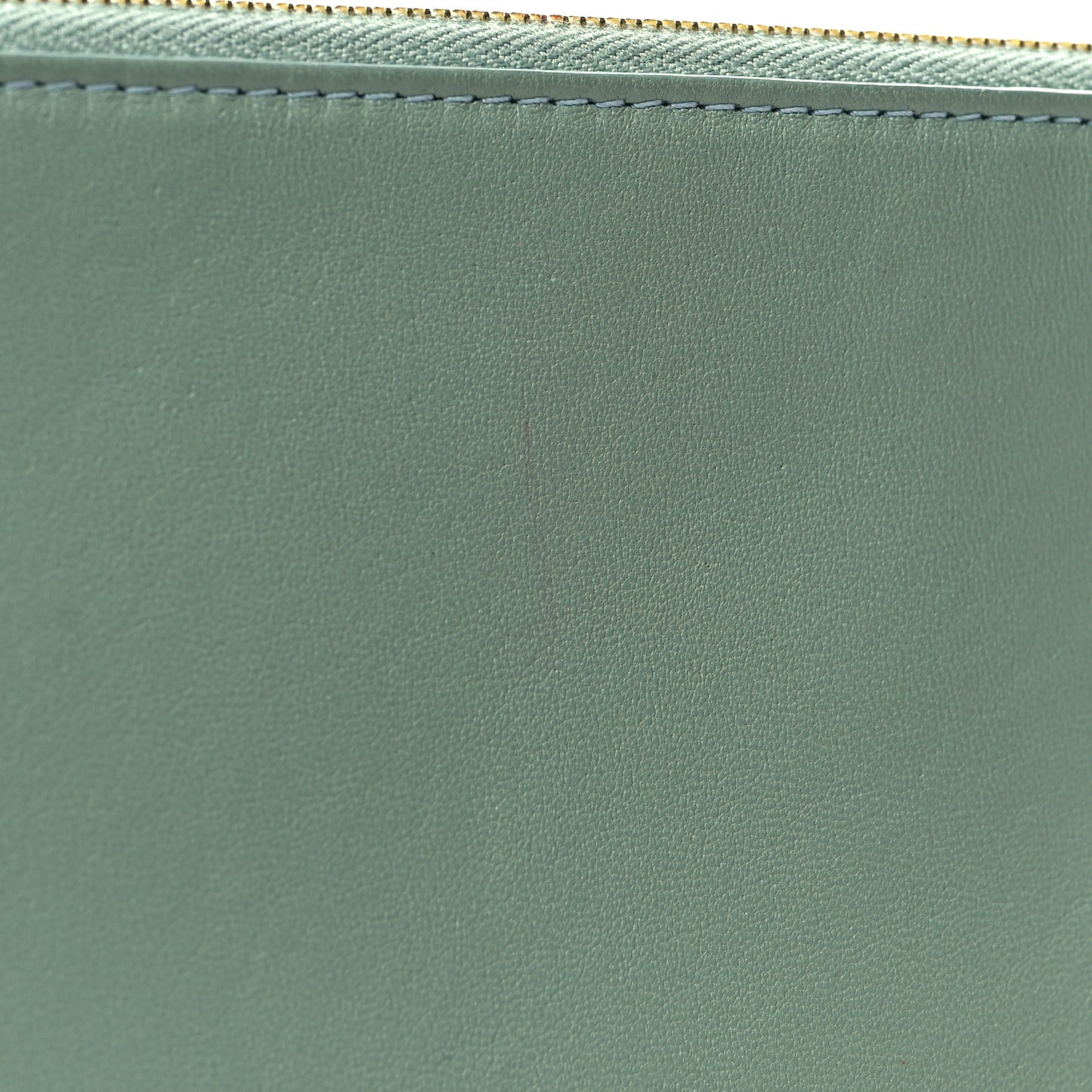 Cloudy Lambskin Solo Zip Pouch Celadon