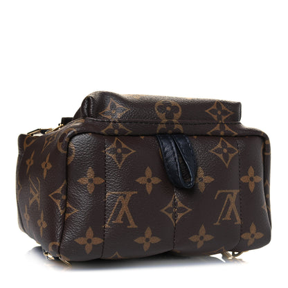 Louis Vuitton Monogram Palm Springs Backpack Mini 4 of 10