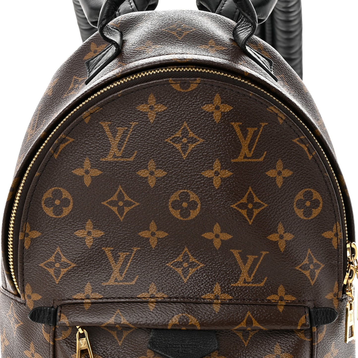 Monogram Palm Springs Backpack PM