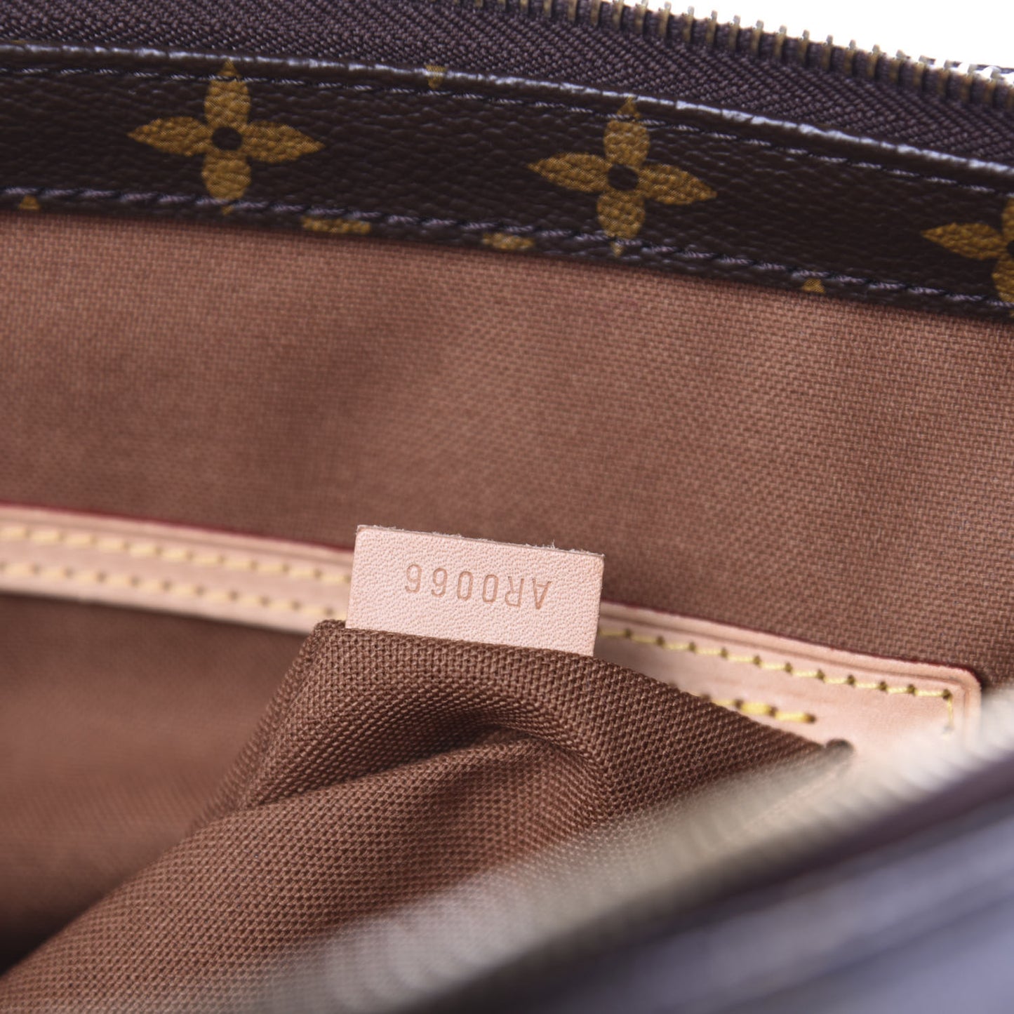 Monogram Cabas Mezzo