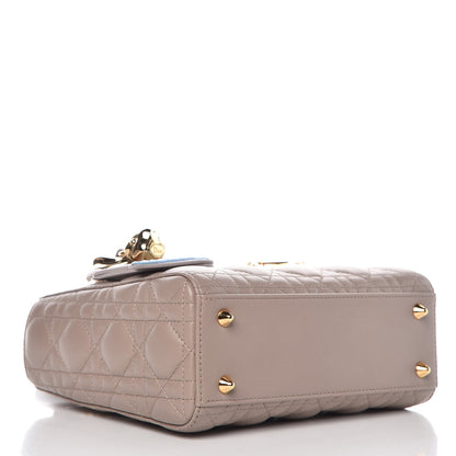 Christian Dior Lambskin Cannage Small Jeweled Swan Lady Dior Taupe 5 of 9