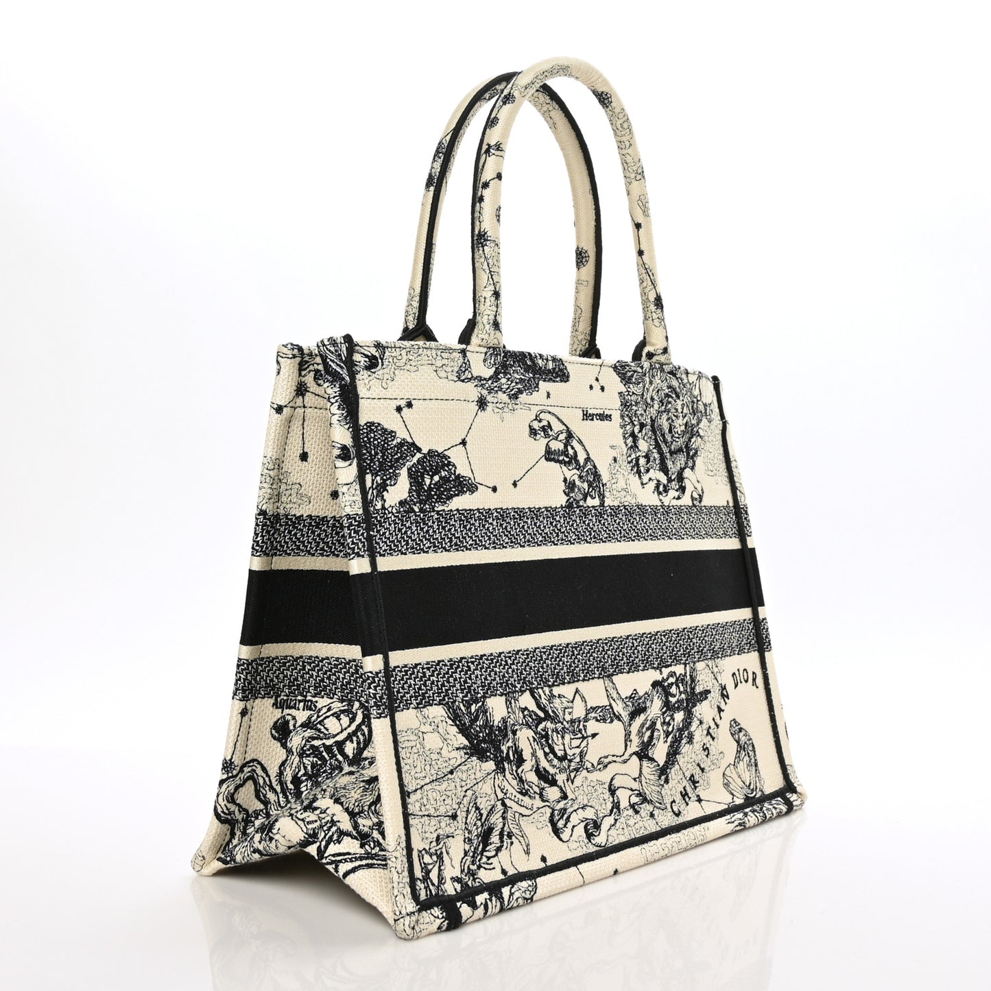 Canvas Zodiac Toile De Jouy Embroidered Medium Book Tote Latte
