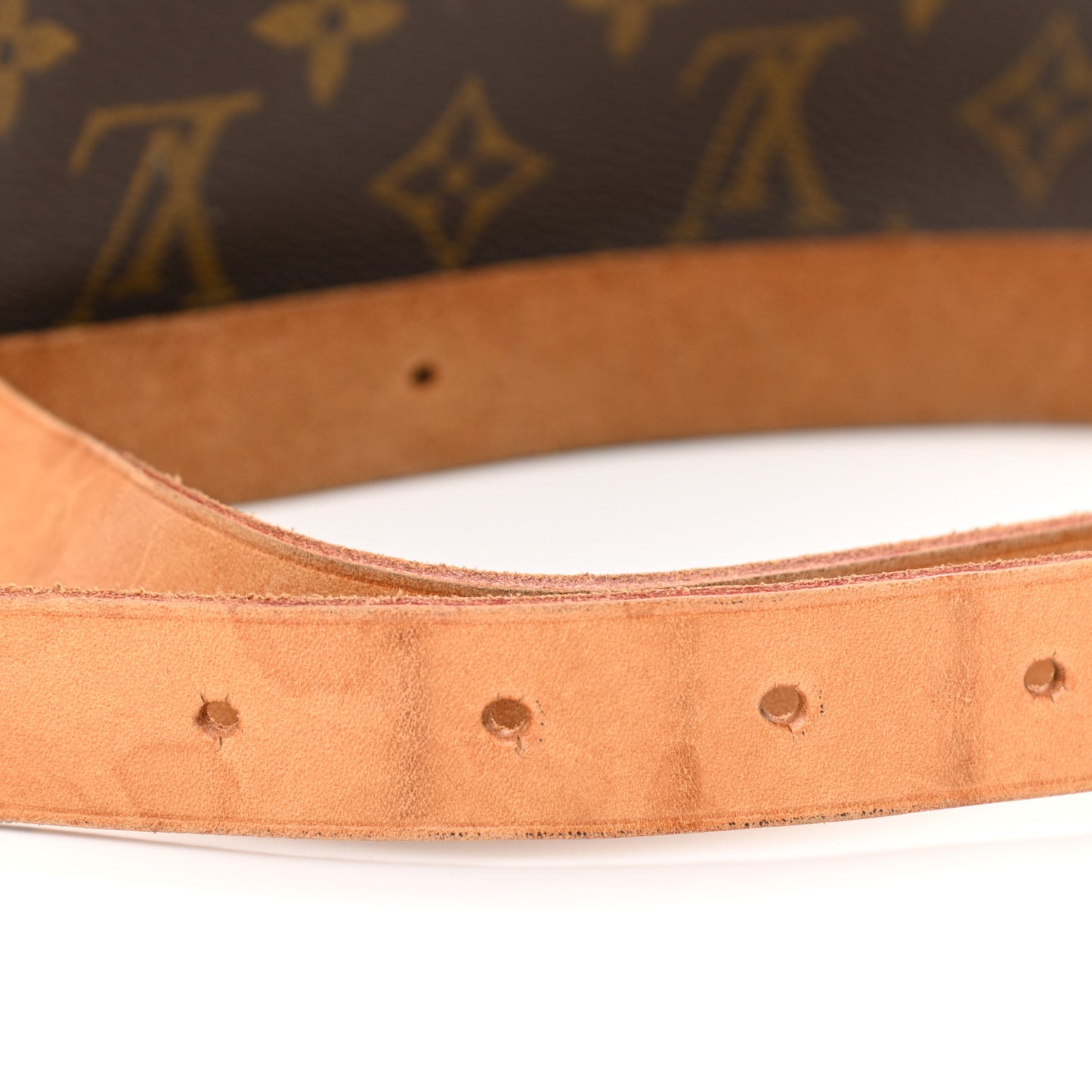 Monogram Cartouchiere 22