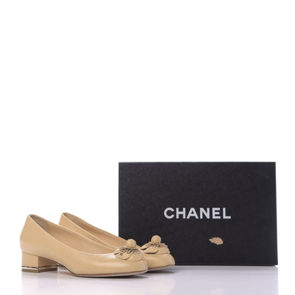 Chanel Lambskin Camellia Pumps 38 Beige 14 of 14