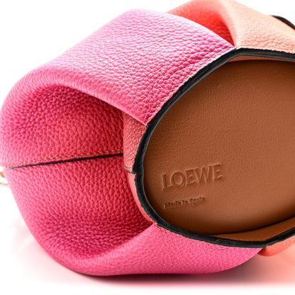 Loewe Calfskin Mini Elephant Crossbody Bag Ombre 8 of 9