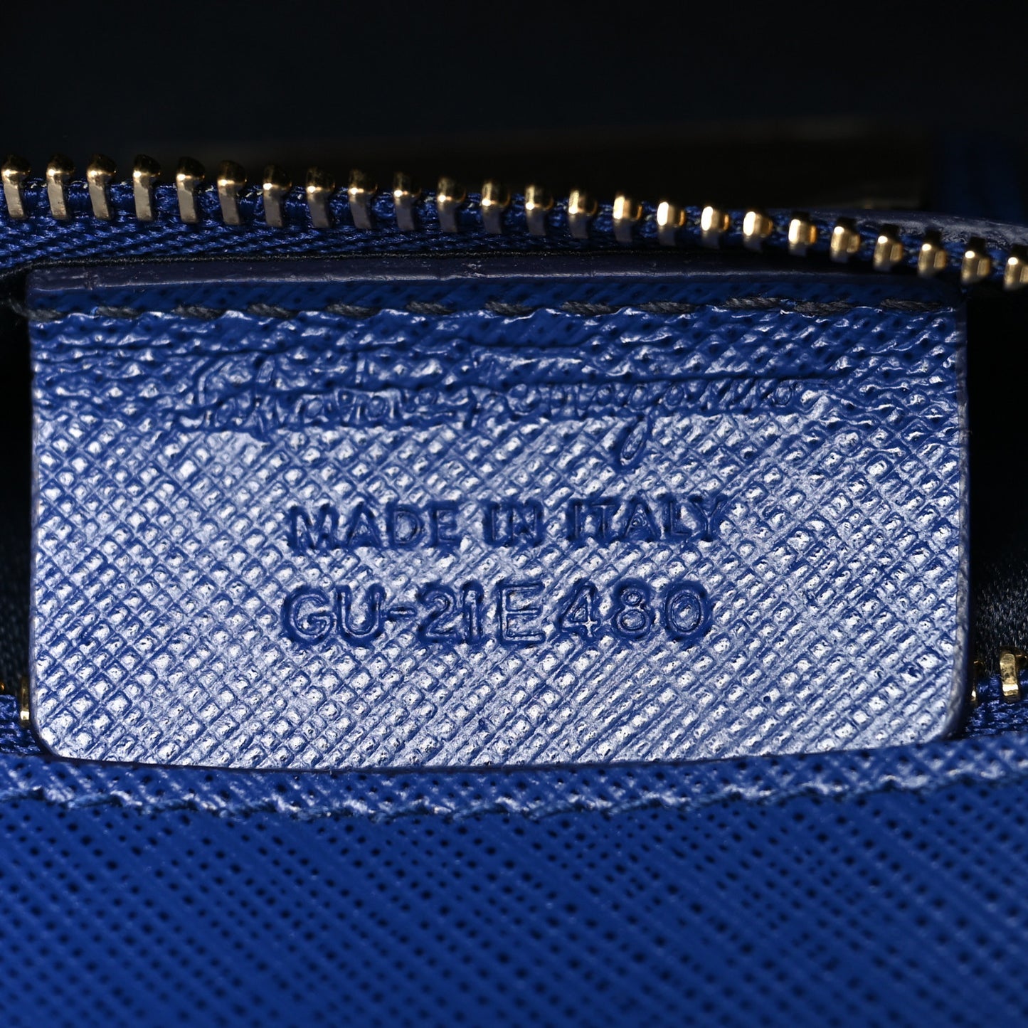 Printed Calfskin Ginny Shoulder Bag Blue