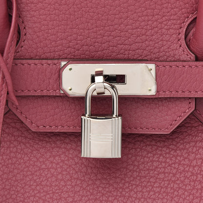 Hermes Togo Birkin 35 Bois de Rose 8 of 11